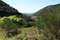 
Cross Creek from the trackbed above, September 2009